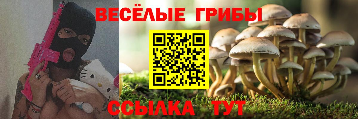 Псилоцибиновые грибы мухоморы Красноуфимск
